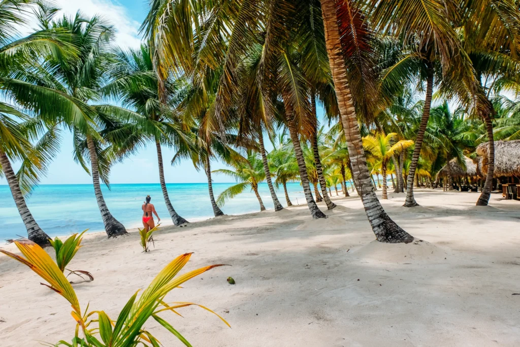 Playa con palmeras en playa caribeña